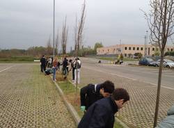 Studenti del liceo Curie piantano 80 grandi tigli (inserita in galleria)