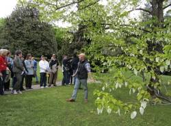 Tra gli alberi di Varese (inserita in galleria)