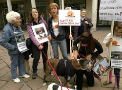 Anche Varese protesta contro Green Hill (inserita in galleria)