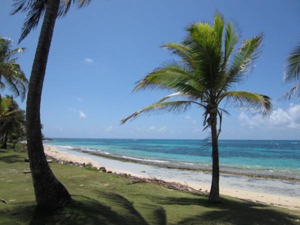 Corn Island 