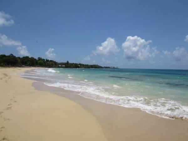 Corn Island 