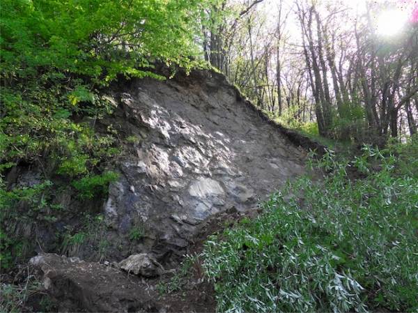 Frana del Cuvignone (inserita in galleria)