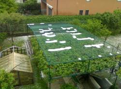 grandine primavera 2012 induno olona