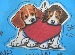 Raccolta firme contro Green Hill (inserita in galleria)