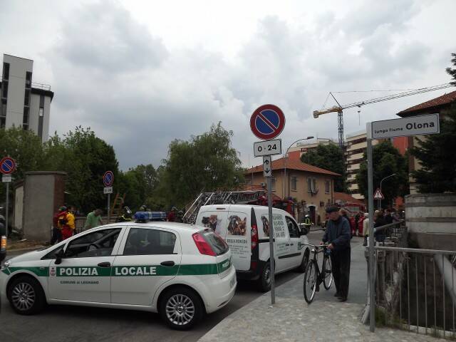 recuperocane  13 