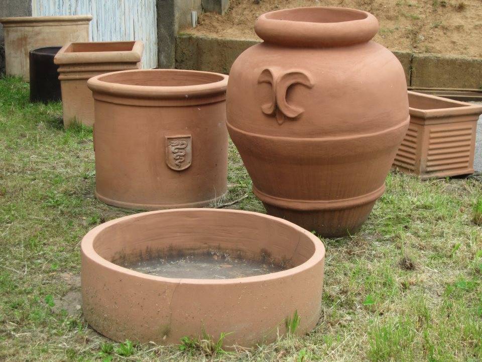 Vasi