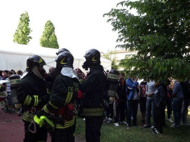 vfdante  5 