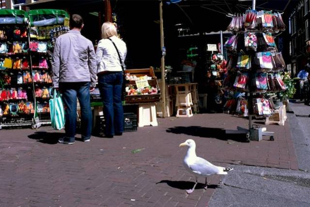 Amsterdam