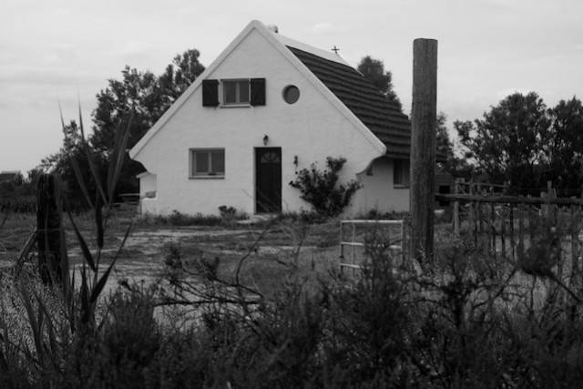 Camargue