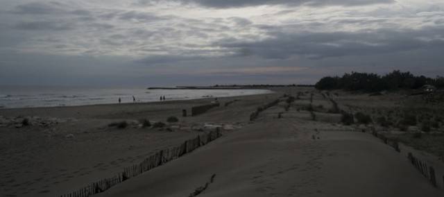 Camargue