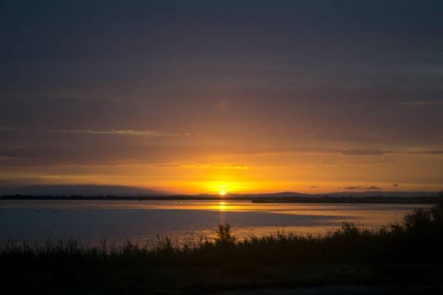Camargue