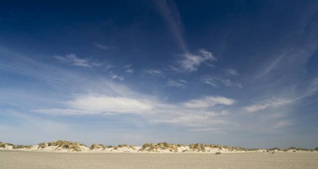 Camargue