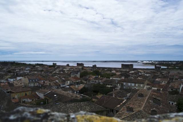 Camargue