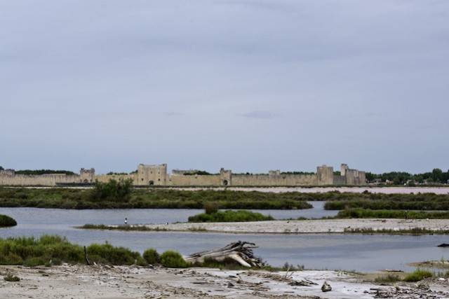 Camargue