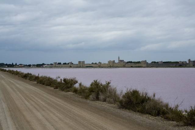 Camargue