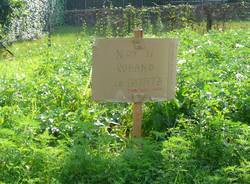 cartelli patate crenna gallarate