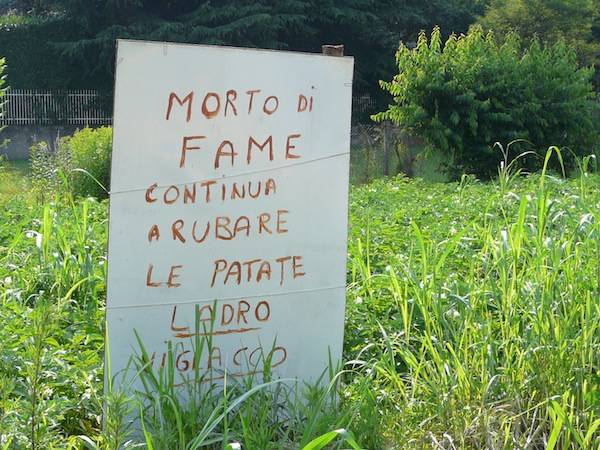 cartelli patate crenna gallarate