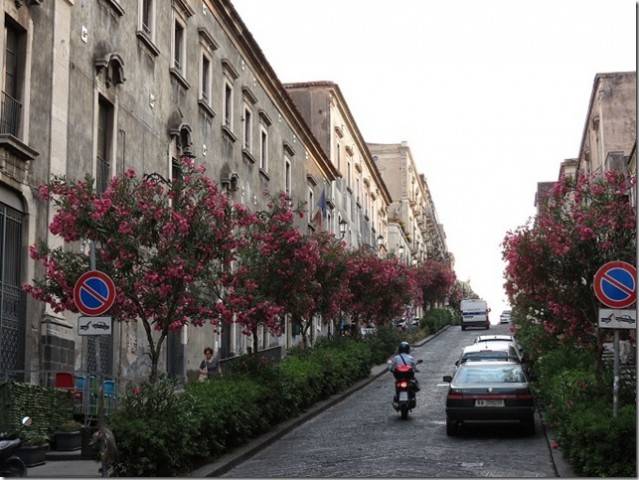 Catania