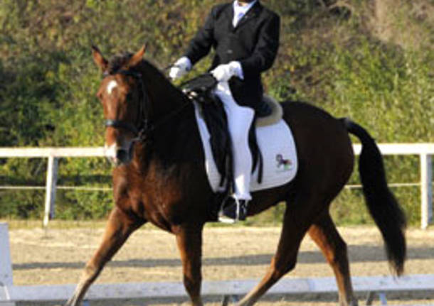 dressage equitazione paralimpico