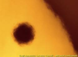 Gat in giro per il mondo per l'allineamento di Venere (inserita in galleria)