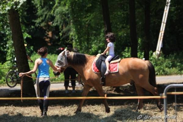 Girinvalle, in migliaia lungo l'Olona (inserita in galleria)