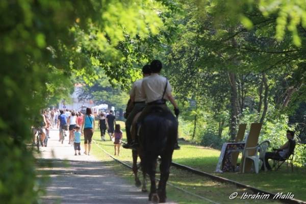 Girinvalle, in migliaia lungo l'Olona (inserita in galleria)