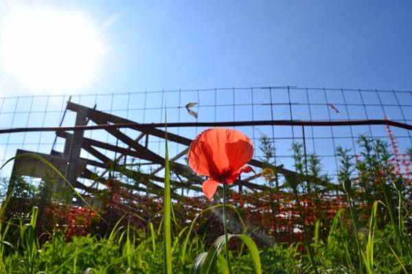 Il Palaghiaccio "congelato" (inserita in galleria)