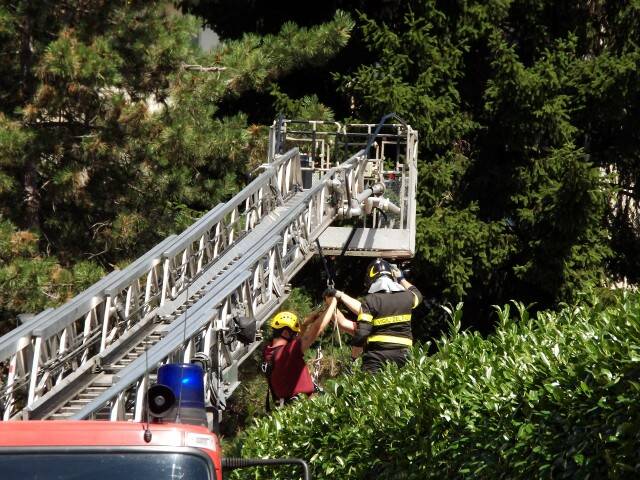 incidente  23 