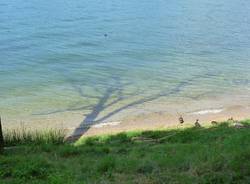 Lago o Maldive? (inserita in galleria)