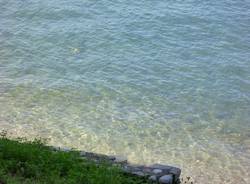 Lago o Maldive? (inserita in galleria)