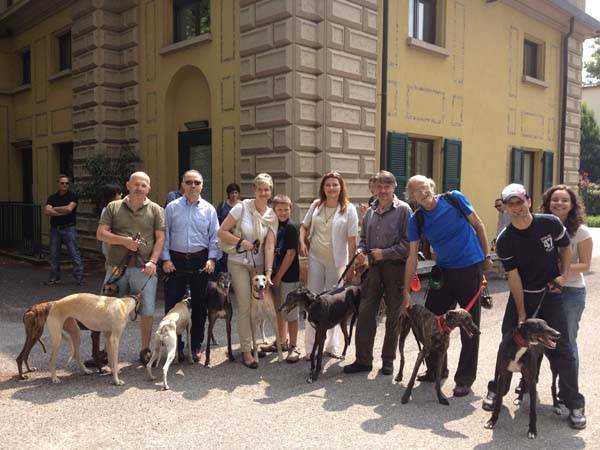 Levrieri a passeggio (inserita in galleria)