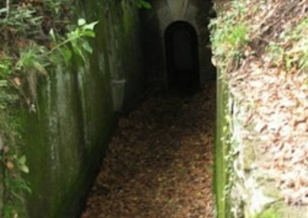 linea cadorna apertura