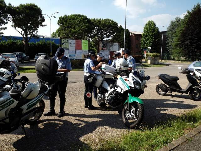PISTA  19 