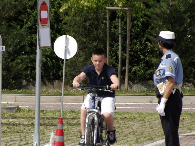 plscuole  4 