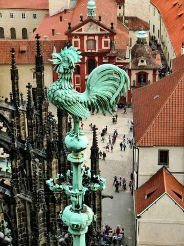 Praga