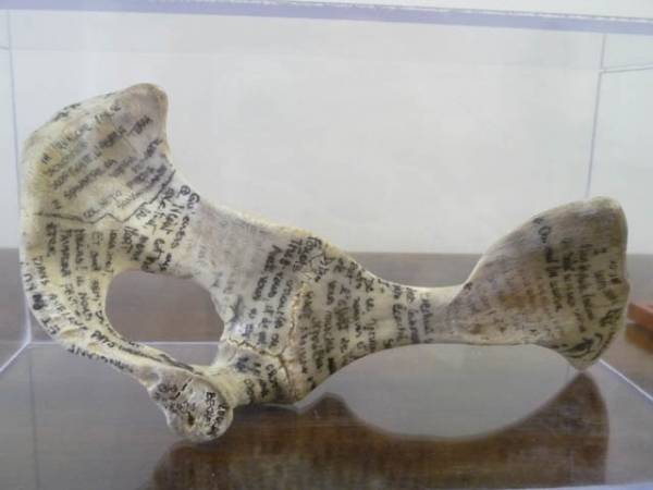 Premio GhigginiArte 2012 (inserita in galleria)
