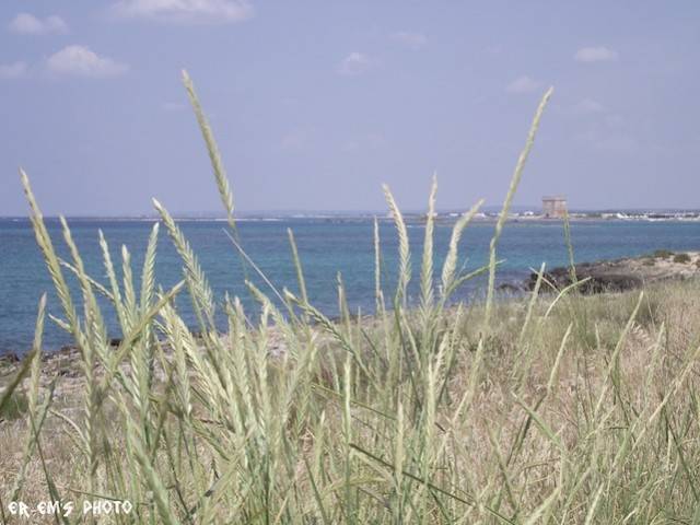 Salento