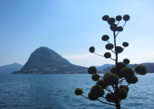 Souvenir di Lugano