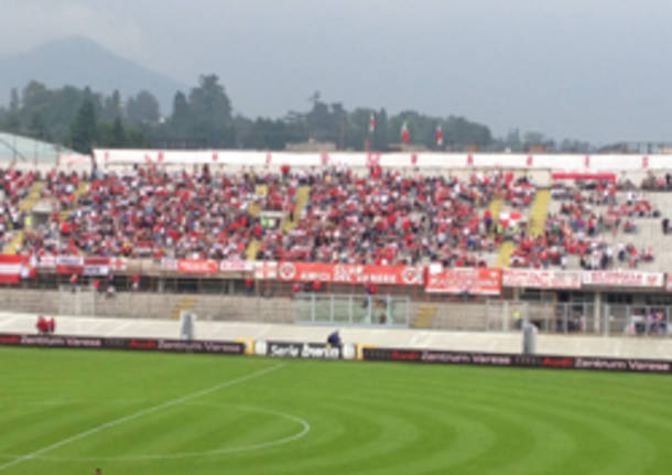 stadio franco ossola partita varese attesa varese sampdoria