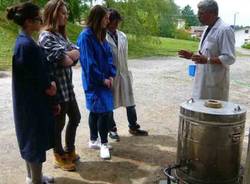 Studenti e cottura Raku (inserita in galleria)