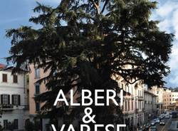 Varese e gli alberi, scegliete la copertina (inserita in galleria)