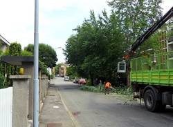 via monsignor schiavini alberi tagliati
