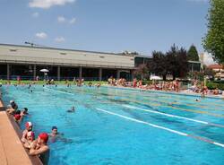 2907 pisci02