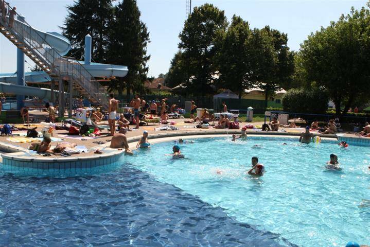 2907 pisci13