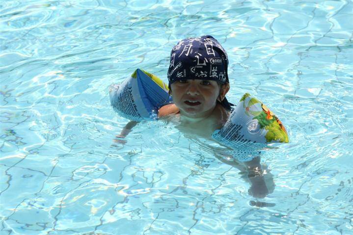 2907 pisci15