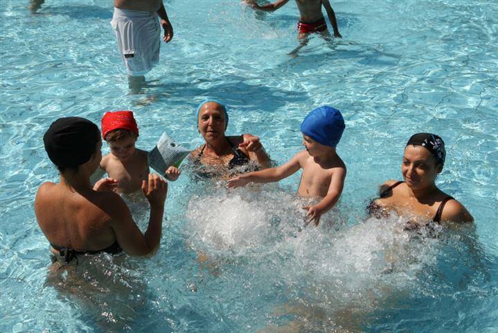 2907 pisci17