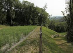 A Castello Cabiaglio la depurazione naturale (inserita in galleria)