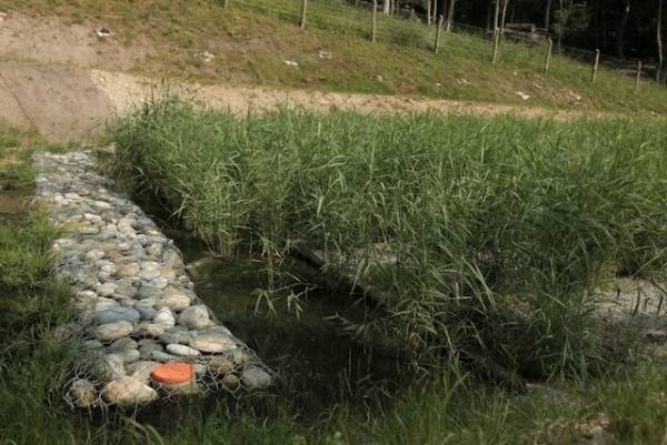 A Castello Cabiaglio la depurazione naturale (inserita in galleria)