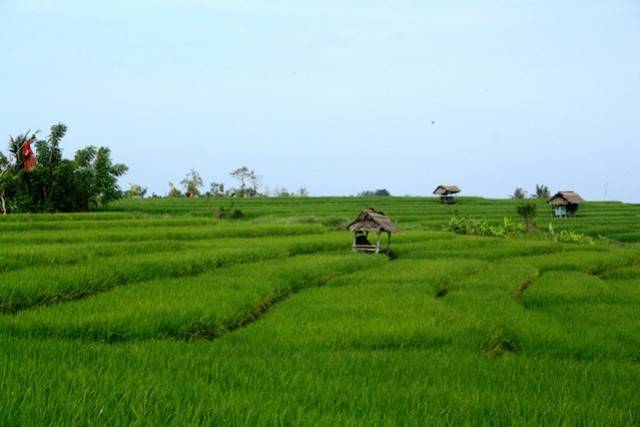 Bali