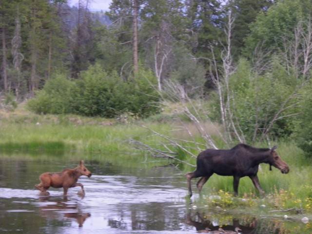 Canada e USA 